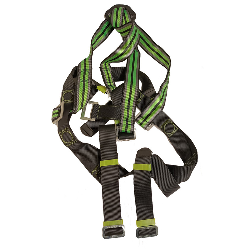 Harness